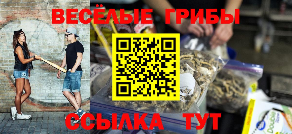 Псилоцибиновые грибы мухоморы Самара